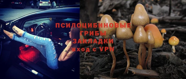 ALPHA-PVP Верея
